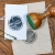 Personalizowany stempel ex libris astronomia