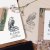 exlibris-orzel-zestaw.jpg